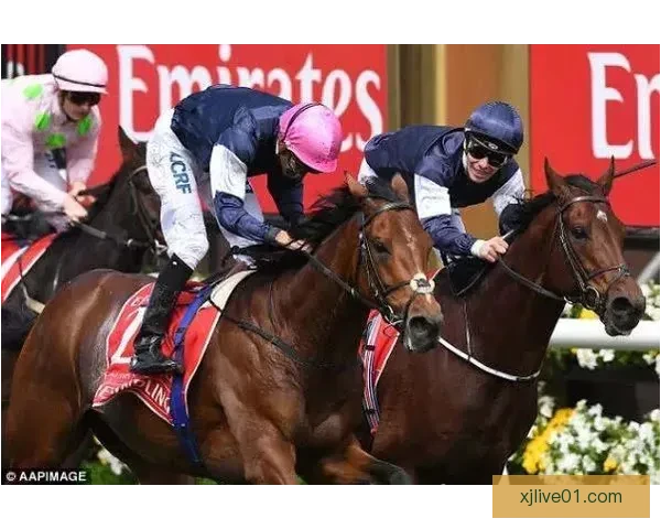 世界杯足球竞猜投注攻略与投注技巧全面解析助你赢得大奖